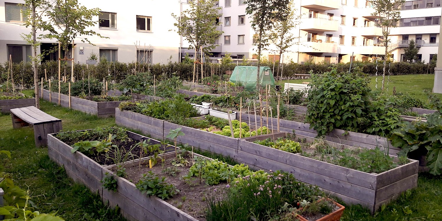 Grădină urbană în Viena