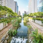 Seoul Cheonggyecheon Stream South Korea