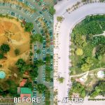before and after urban forrest