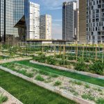 Acoperișurile clădirilor comerciale noi din Franța trebuie să devină verzi