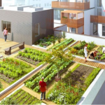 Orașul Basel vrea ca locuințele să fie protejate de acoperișuri verzi